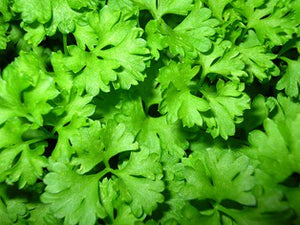 Parsley